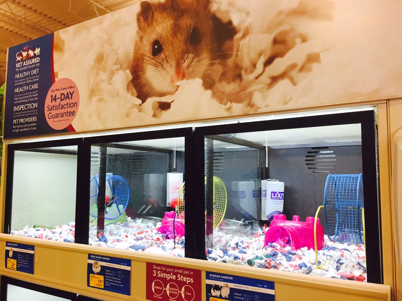 petsmart hamsters